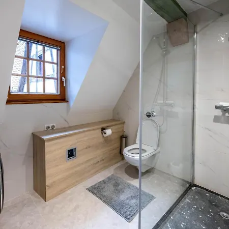Le Pinot Gris Apartment Riquewihr